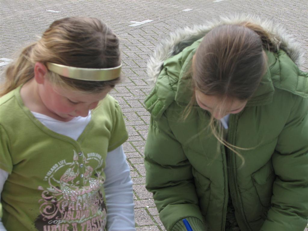 IMG_9760 (Large).jpg